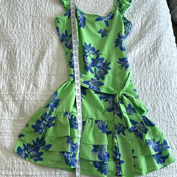 Likely Charlotte Mini Dress in Pistachio, 6, NWOT - Picture 7 of 7